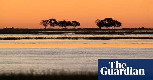 Ancestral home of modern humans is in Botswana, study finds