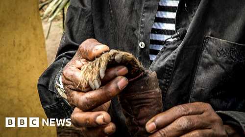 How talk of witches stirs emotions in Nigeria