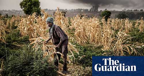 Over 30 million people 'one step away from starvation', UN warns