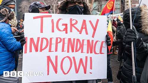 Tigray conflict: The fake UN diplomat and other misleading stories