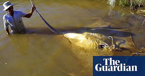 ‘Gamechanging’ £10m environmental DNA project to map life in world’s rivers
