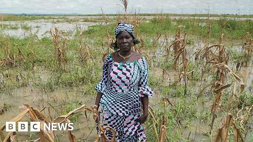 Nigeria climate change: 'My farm was destroyed by drought then floods - I am confused'