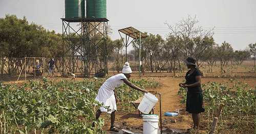 Zimbabwe’s Climate-Smart Agriculture: Empowering Farmers through Resilience and Innovation | Africanews