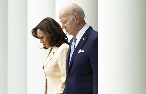 America's IQ Test: Why Kamala Harris’s Loyalty to Biden Cost Her the Election.