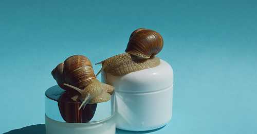 Why Snail Mucin? Or, How This Ancient Practice Became a Skin Care Sensation