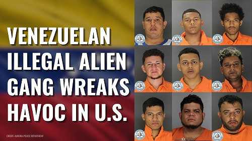 Donald Trump was Right All This Time: The 'TDA