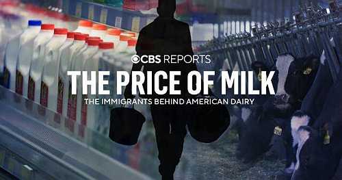 The Price of Milk: Immigrants Behind American Dairy | CBS Reports