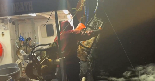 Northern California's commercial crab season under threat from migrating whales