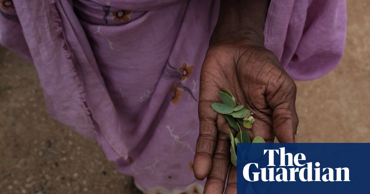 Almost 300m people at risk of death through starvation – report