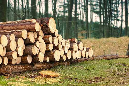 Rising Lumber Duties Could Drive Home Prices Even Higher · Madam Money®