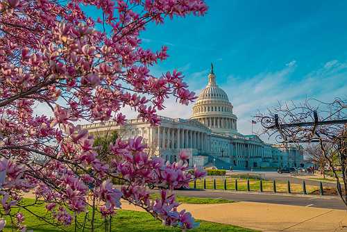 Trump’s Tax Cuts Pass the House but Don’t Expect a Windfall · Madam Money®