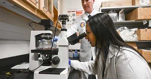 Health expert calls Trump's medical research cuts 