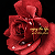 Post: