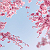 Post: