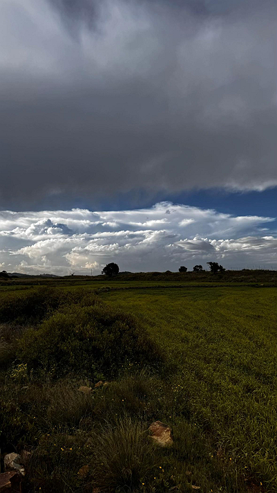 لا شيء يأتي كما نتمنى تارلا يسافر على عجزة ہنہ أن...