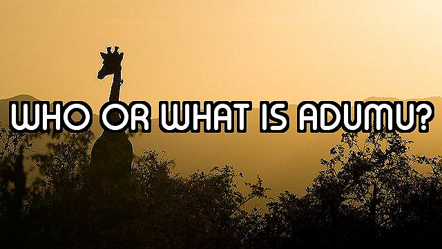 How Well Do You Know Africa