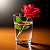 Post: #aigenerated