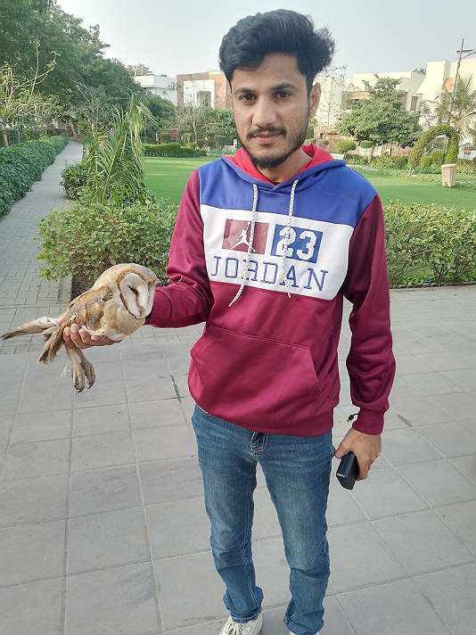 Bird lover #lover 🤩 #bird #animal