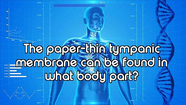 How Well Do You Know the Human Body?