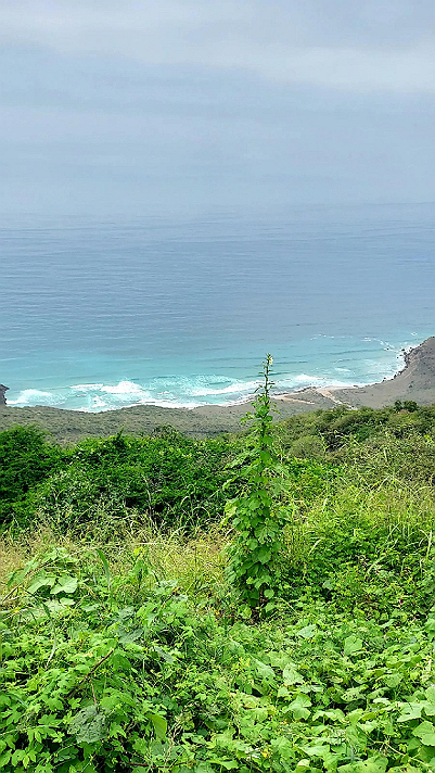 الانعكاسات الخارجية من أقرب الناس انعكاساتنا الزمنية...