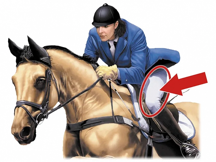 How Well Do You Know Clothing Parts?