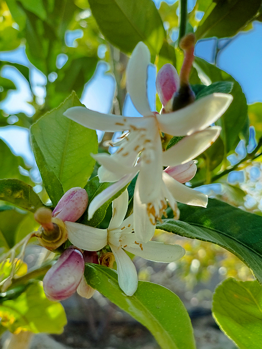 سبب في شقاء الإنسان هو الدائم يزهدُ في سَعَادَةِ...