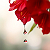 Post: