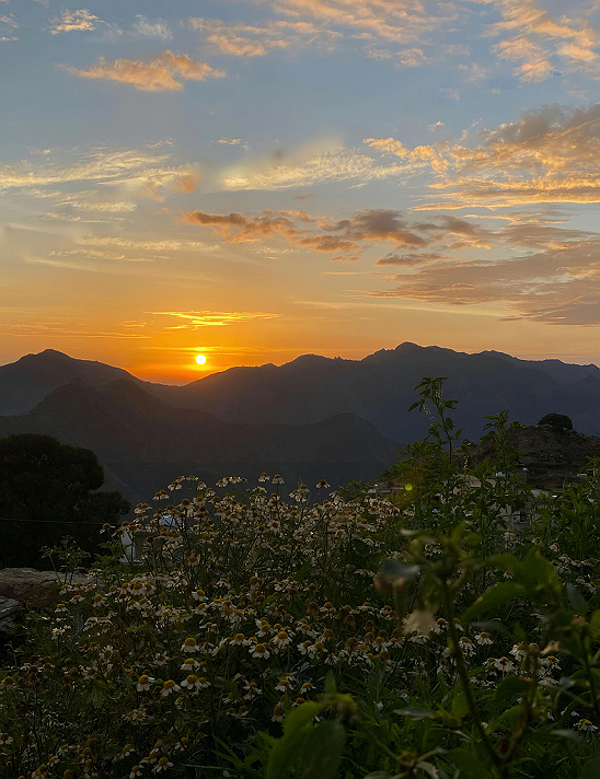 - تطلعك الإجابات بكل وضوح𝒔𝒊𝒕𝒖𝒂𝒕𝒊𝒐𝒏𝒔...