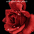Post: