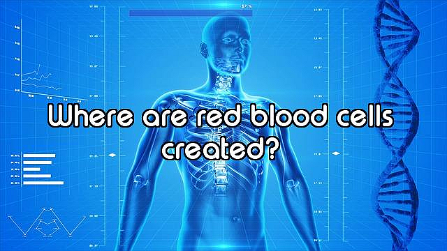 How Well Do You Know the Human Body?