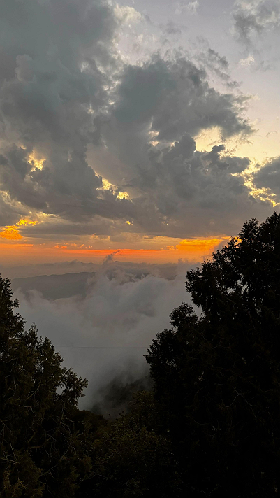 ما يأتي من مكونات القلب، كن صادقًا مع الناس💜ما يخرج...