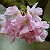 Post: