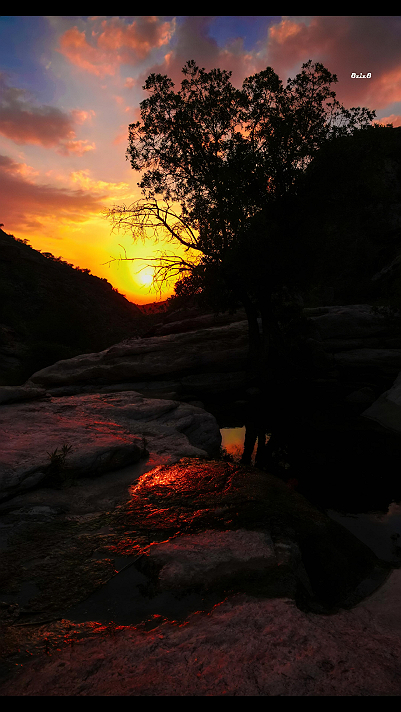 التصوير الفوتوغرافي أثناء غروب الشمس