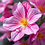 Post: #aigenerated