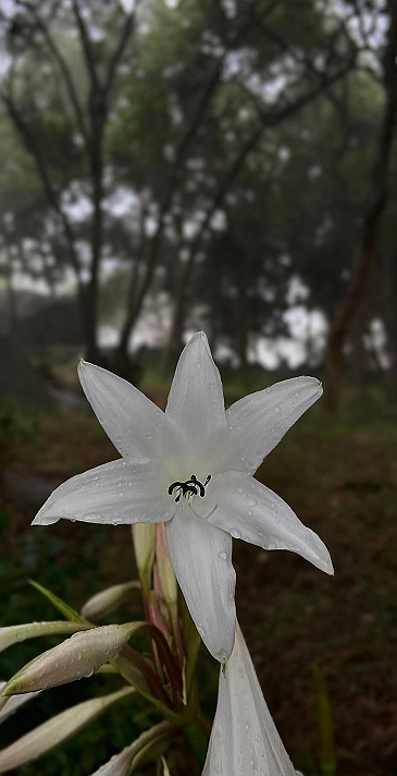 التصوير الفوتوغرافي