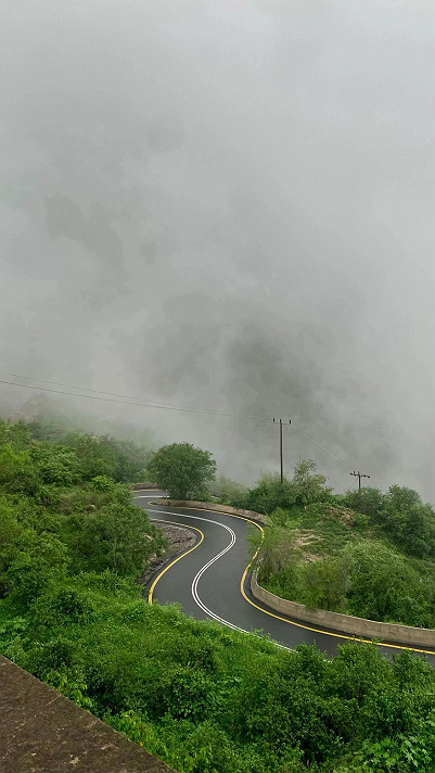 صباح الخير ، العلاقات التي أون بشعرك الخاص بشجرة...