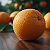 Post: #aigenerated