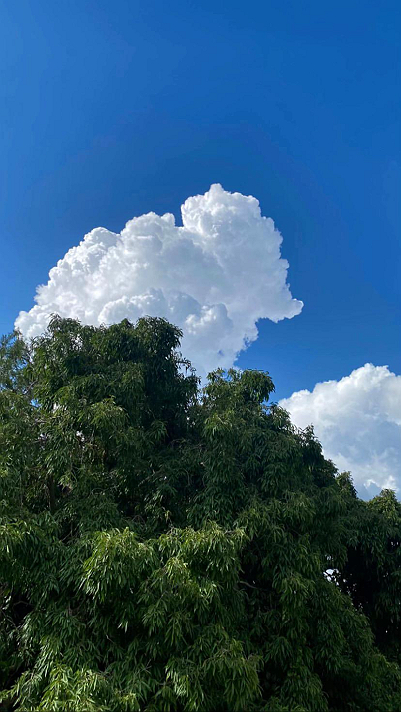 ‏ما أروع حسن طوق المن، الأدب في الحديث، نصائح إن...