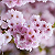 Post: