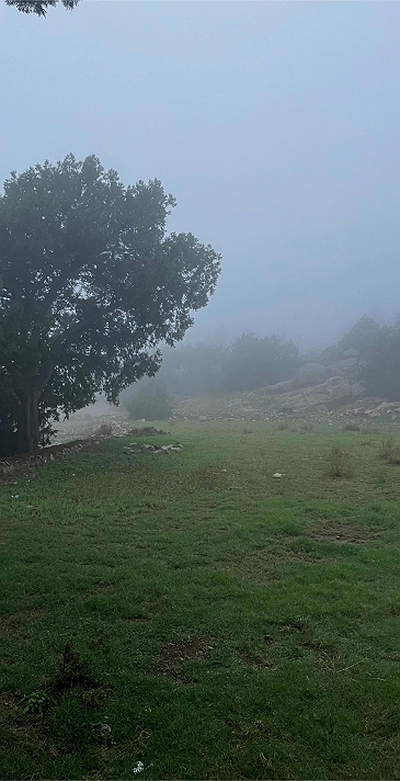 ••كثيرون في الحياة حزنها وآلامها؛ كن مغايراً...