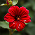 Post: