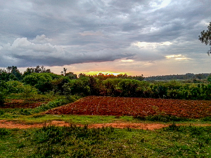 Sunset In The Countryside