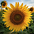Post: