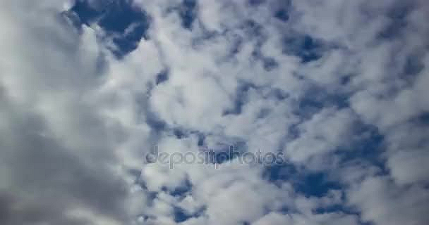 50x50
