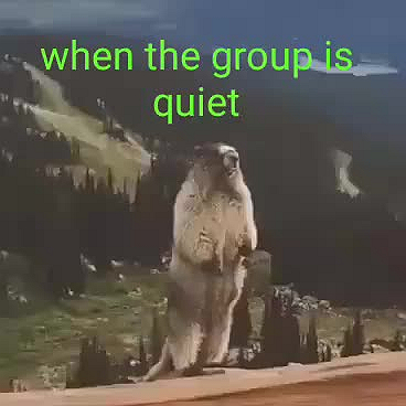 50x50