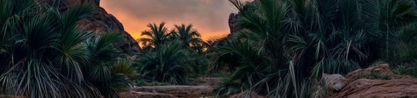 تصوير الطبيعه