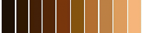 The Value of MELANIN